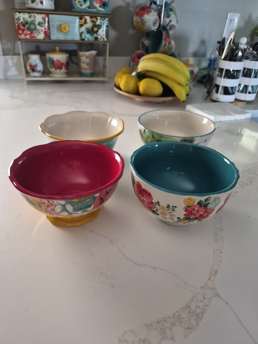 The Pioneer Woman 4-Piece Ceramic Dessert Bowls Set - HTF Discontinued